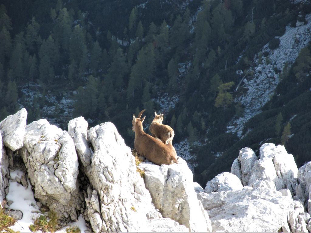Holiday Home Julian Alps Bovec Dış mekan fotoğraf